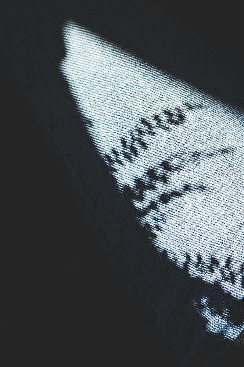 Die Kunst der Bilderrahmen